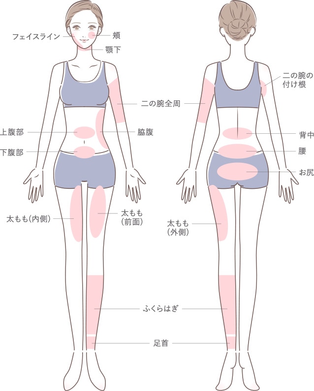 当院の脂肪吸引は様々な部位が施術対象になります