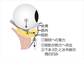 眼球