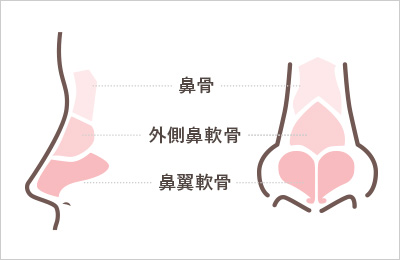 鼻中隔延長術